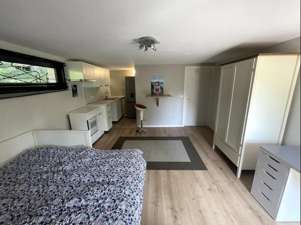 Quiet Studio In A House In Sevrier Annecy Lake Very Close To The Lake Bagian luar foto