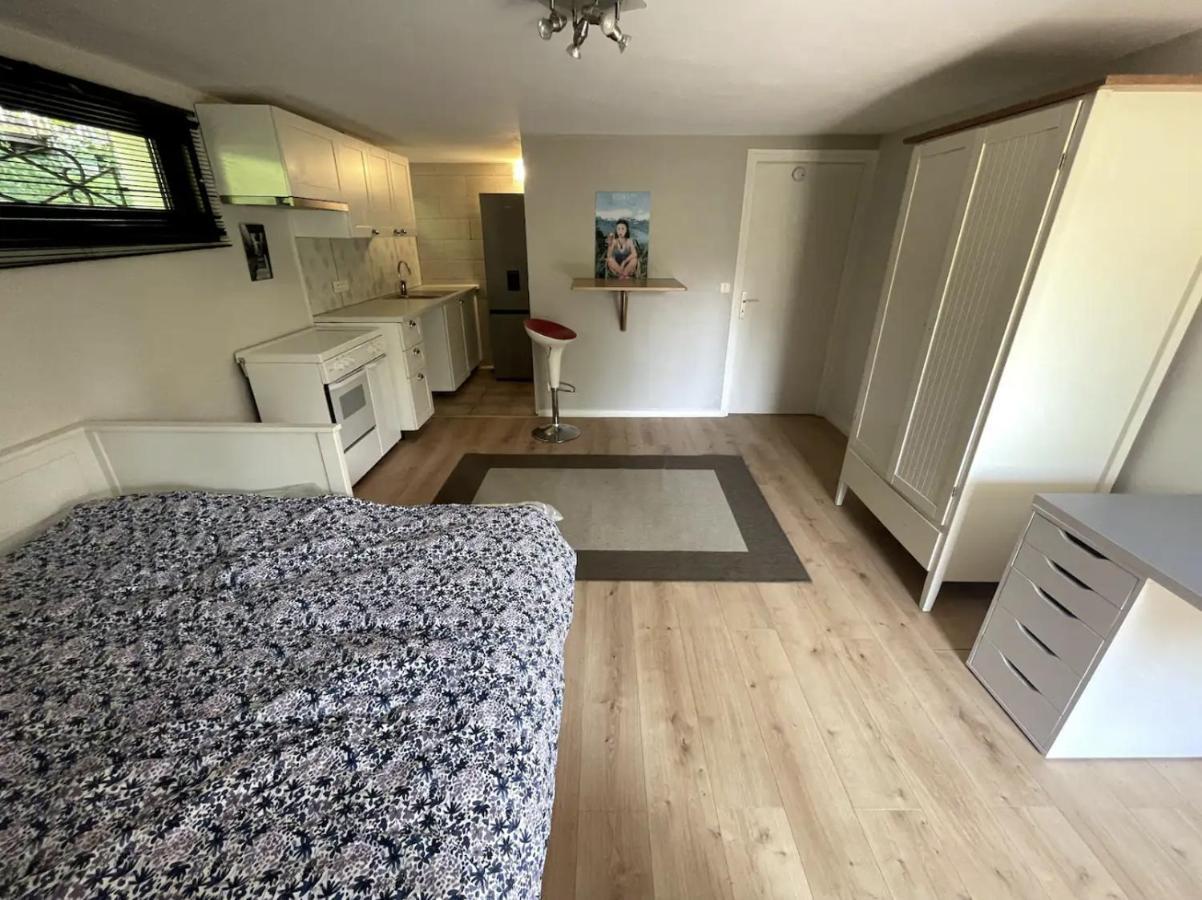 Quiet Studio In A House In Sevrier Annecy Lake Very Close To The Lake Bagian luar foto